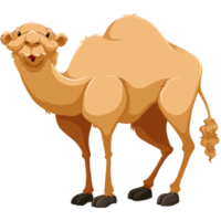 vector_cartoon_camel_free_animal_clipart