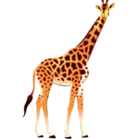 vector_cartoon_giraffe_free_animal_clipart