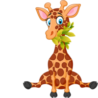 free_download_giraffe_eating_leaves_clipart_image