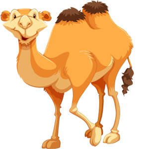 Desert Cartoon Animal Camel Clipart Image - Free Clipart Library