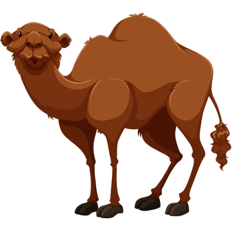 Innocent Desert Cartoon Animal Camel Illustration - Free Clipart Library